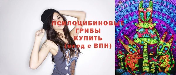 СК Осинники