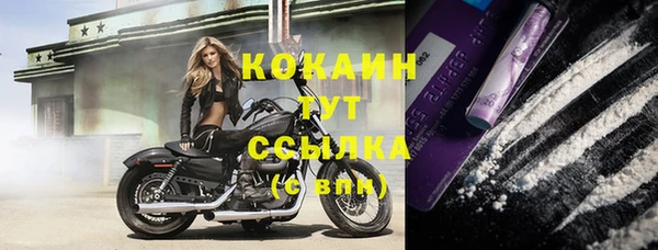 не бодяженный Осташков