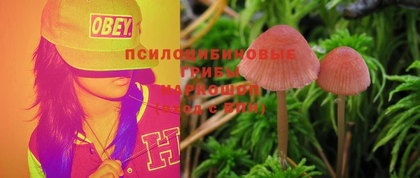 не бодяженный Осташков