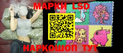 мдма Новодвинск