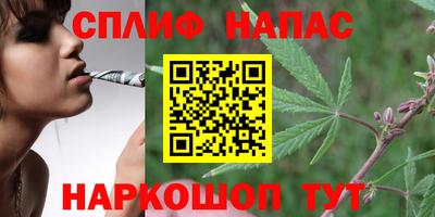 мдма Новодвинск