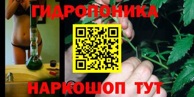 крисы Волжск