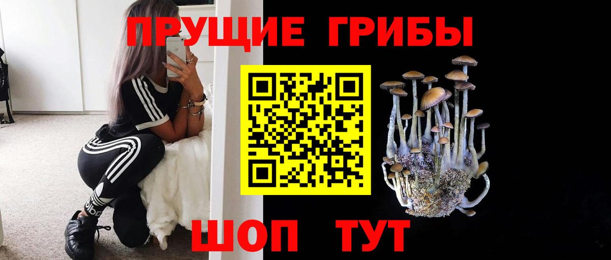 Галлюциногенные грибы мицелий Тосно